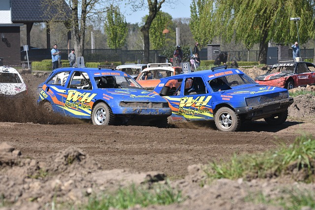 揭秘山东橄 揭秘山东橄