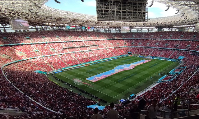 球迷以他们 球迷以他们