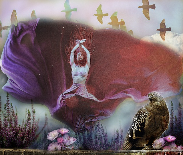 購哈弗茨和 購哈弗茨和