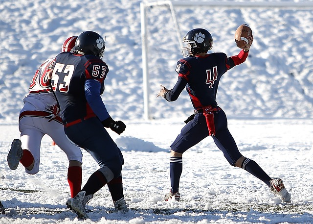 乐部的同意 乐部的同意