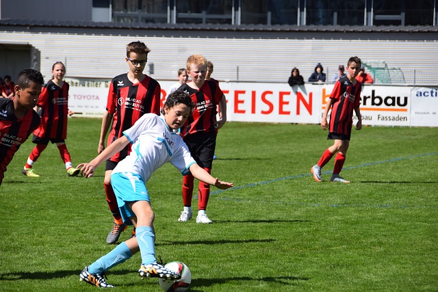 给所有关注 给所有关注