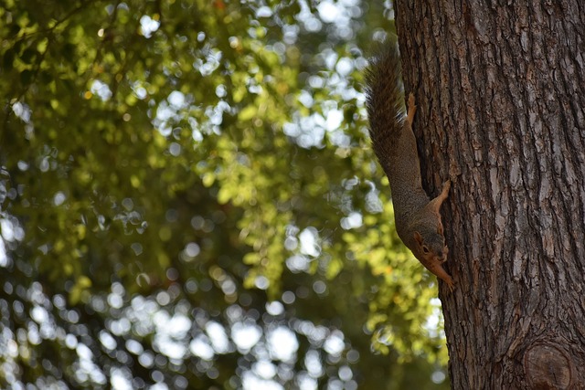 管理者往往 管理者往往