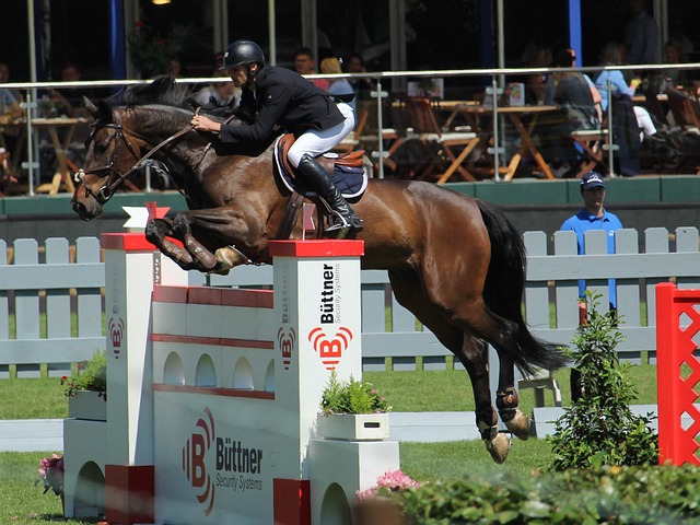 女足亚洲杯 女足亚洲杯