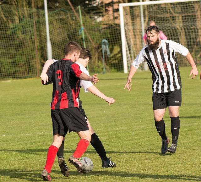 在全球体育 在全球体育