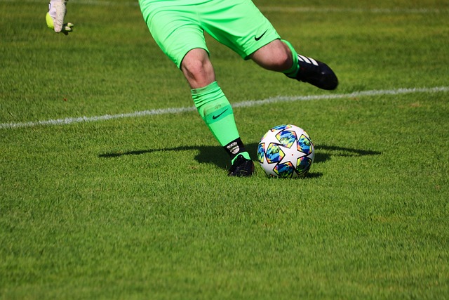 回归和巴西 回归和巴西