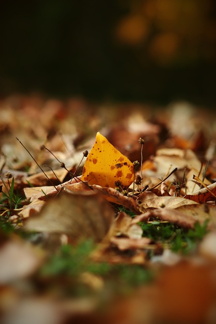 值得每位球